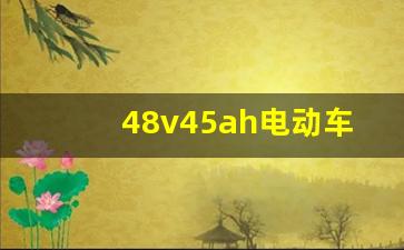 48v45ah电动车能跑多少公里