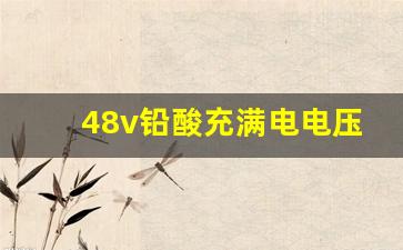 48v铅酸充满电电压多少正常,48v电动车电压低于多少就不动了