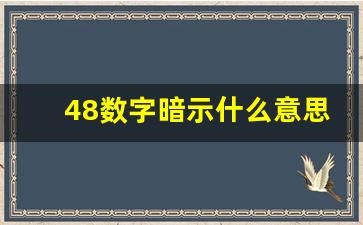 48数字暗示什么意思