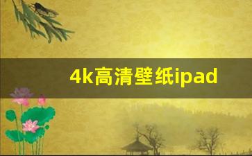 4k高清壁纸ipad网站