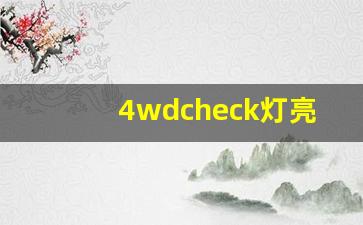 4wdcheck灯亮有什么症状