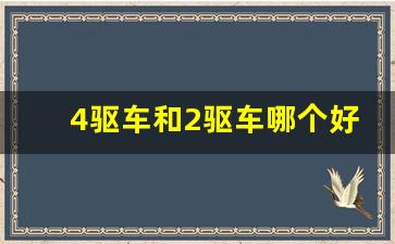 4驱车和2驱车哪个好,冰面前驱车好还是后驱车好