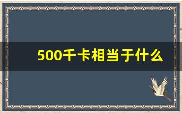 500千卡相当于什么食物,500大卡有多少食物