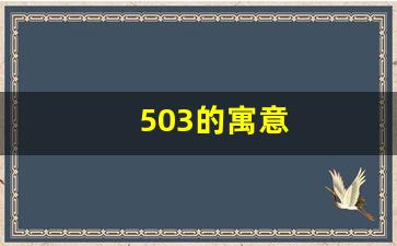 503的寓意