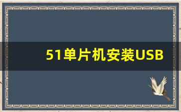 51单片机安装USB驱动程序,单片机写好的驱动程序怎么用