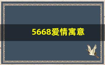 5668爱情寓意