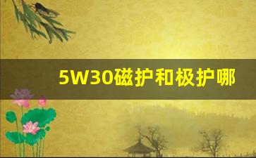 5W30磁护和极护哪个好,磁护全合成机油5w30怎么样