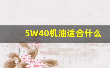 5W40机油适合什么车型