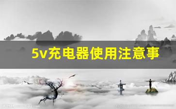 5v充电器使用注意事项,充电电压5v可以在插座上充电吗