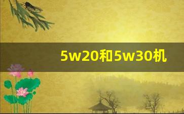 5w20和5w30机油哪个好,0w20是高端机油吗