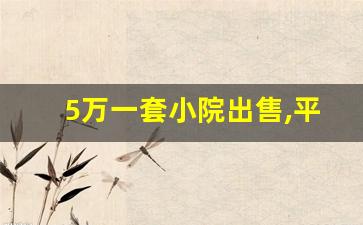 5万一套小院出售,平房2万出售