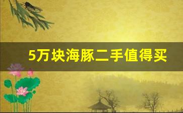 5万块海豚二手值得买吗