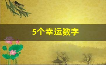 5个幸运数字