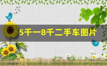 5千一8千二手车图片,5000元的二手车一共要花多少