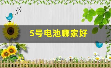 5号电池哪家好