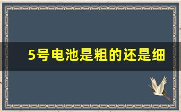 5号电池是粗的还是细的,比7号电池大一点的是几号电池