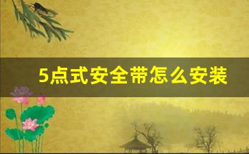 5点式安全带怎么安装,好孩子五点式安全带安装图解