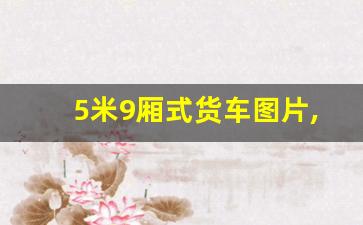 5米9厢式货车图片,6米长的货车有哪些车