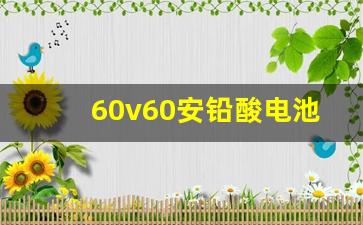 60v60安铅酸电池价格