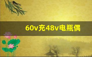 60v充48v电瓶偶尔一次可以吗,60v和48v电瓶区别