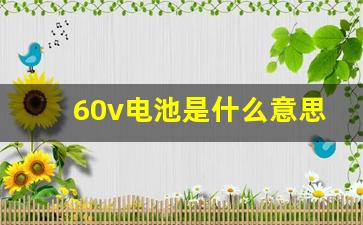 60v电池是什么意思啊