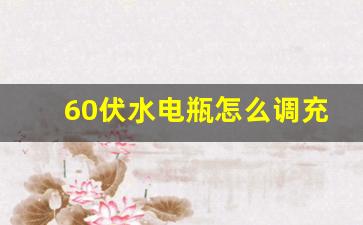 60伏水电瓶怎么调充电器,12v电瓶最佳充电电流