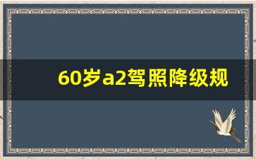 60岁a2驾照降级规定,驾驶证自愿降级流程