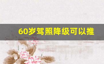 60岁驾照降级可以推迟多久,60岁驾照降级什么时候办理