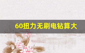 60扭力无刷电钻算大吗,电钻60牛米是什么意思