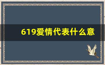 619爱情代表什么意思