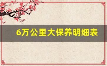 6万公里大保养明细表