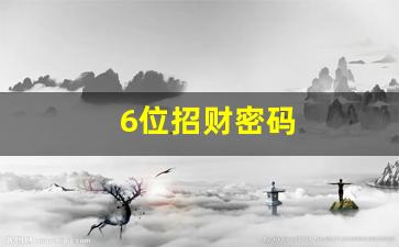 6位招财密码