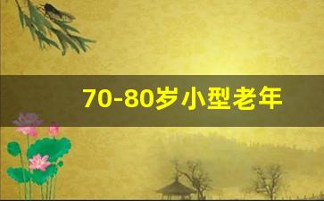 70-80岁小型老年电动车,小型老人电动车