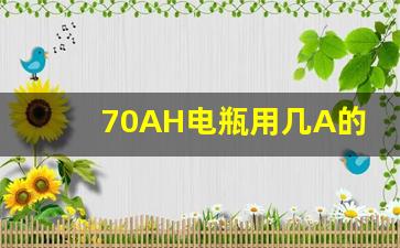 70AH电瓶用几A的电流充电,充电器60v5A和60v8A区别