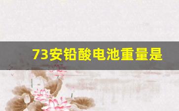 73安铅酸电池重量是多少,超威32安电池的重量