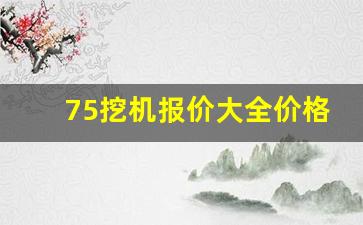 75挖机报价大全价格表