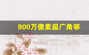 800万像素超广角够用吗