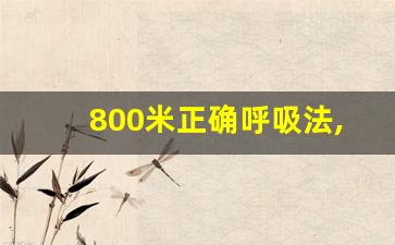 800米正确呼吸法,800米怎么跑最省力