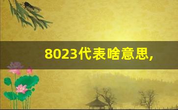 8023代表啥意思,8023在爱情中代表的含义