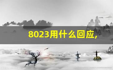 8023用什么回应,跟8023差不多的数字