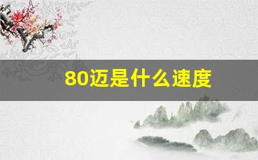 80迈是什么速度