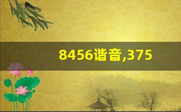 8456谐音,3751谐音