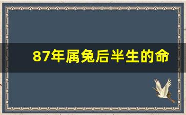 87年属兔后半生的命运