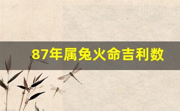 87年属兔火命吉利数字,87年属兔36岁有一灾