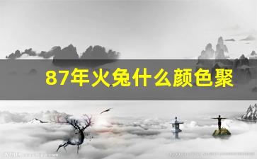 87年火兔什么颜色聚财,2024年属兔女幸运色