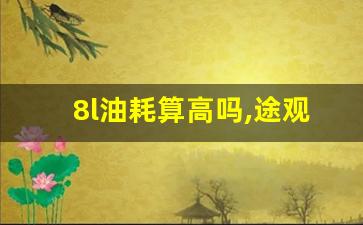 8l油耗算高吗,途观l新车油耗高的原因