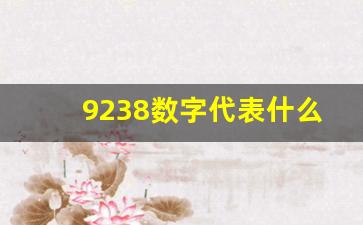 9238数字代表什么,1~9数字代表的意思大全