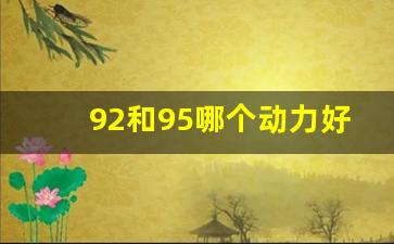 92和95哪个动力好一点,一直加92不小心加错95