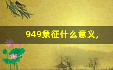 949象征什么意义,949爱情含义