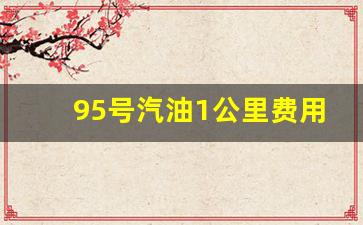 95号汽油1公里费用